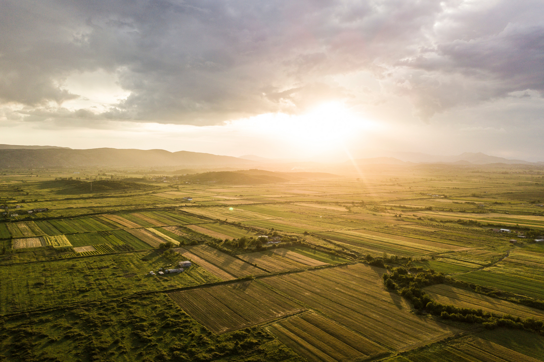 The Role of Excavation in Environmental Conservation and Land Management